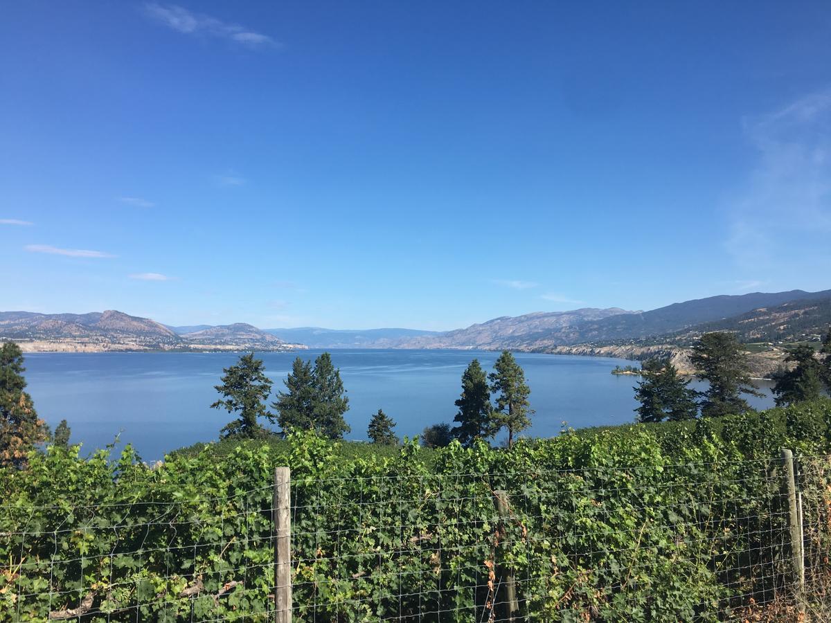 黑海汽车旅馆 彭蒂克顿 外观 照片